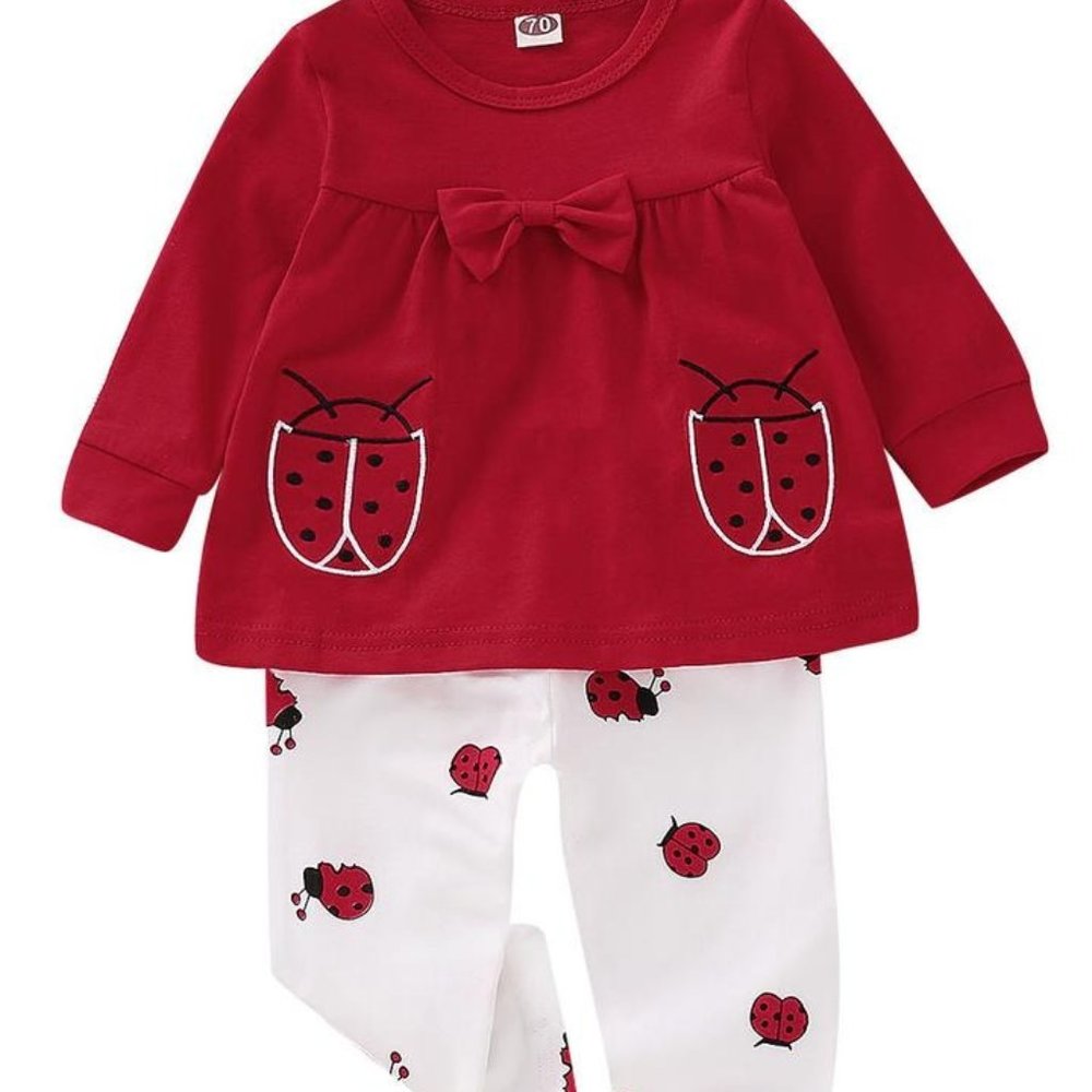 PERFECT LADY BUG SET FOR YOUR BABY GIRL